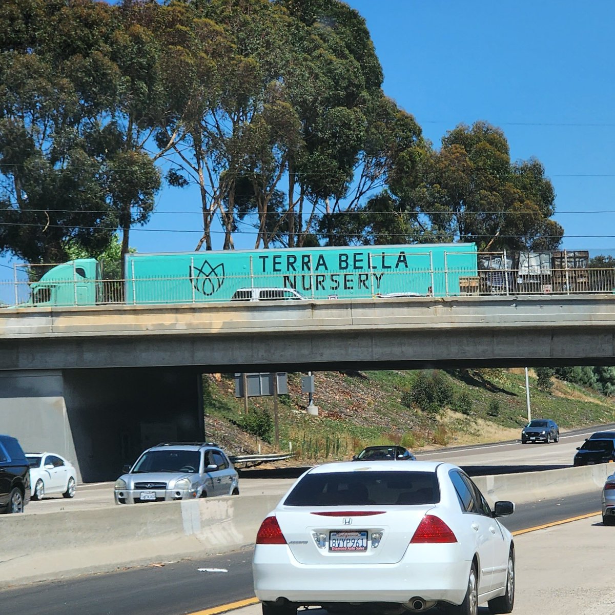 Kevin → Plant Daddy tweet media