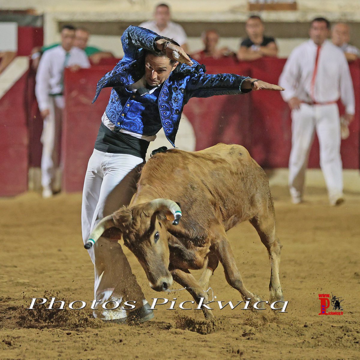 SARRAGACHIES,
Dimanche 27 Août 2023 à 17h00, course landaise de compétition, avec la Ganaderia Deyris - Cuadrilla Romain Clavé,
Photo d'un écart de Thomas Marty Champion de France des sans corde à Vieux Boucau 2023,
Les Photos Individuelles de la Cuadrilla Romain Clavé
