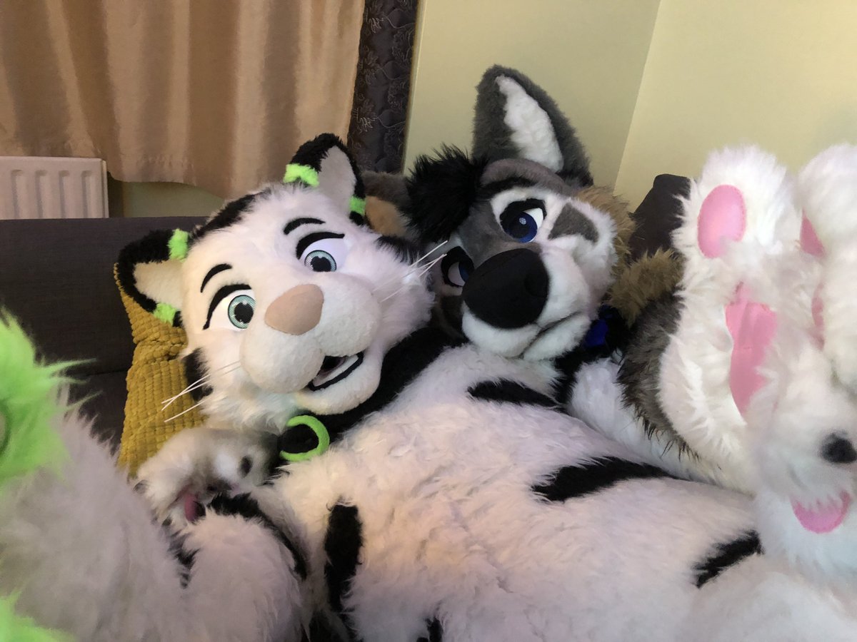 Remember to  get a wolf hug today! (it’s good for you) #fursuitfriday