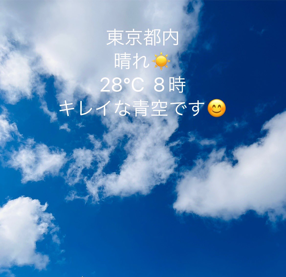 おはようございます✨
土曜日の東京は晴れからスタートです☀️
連日の猛暑💦
皆さん、大丈夫でしょうか？
暑さに負けず、
今日も張り切って参りましょう😊

楽天セール開催中✨
🔽🔽
item.rakuten.co.jp/excellent-1/c/…

#企業公式相互フォロー 
#企業公式が毎朝地元の天気を言い合う