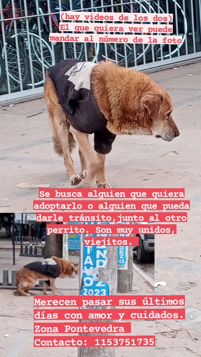 Difundimos