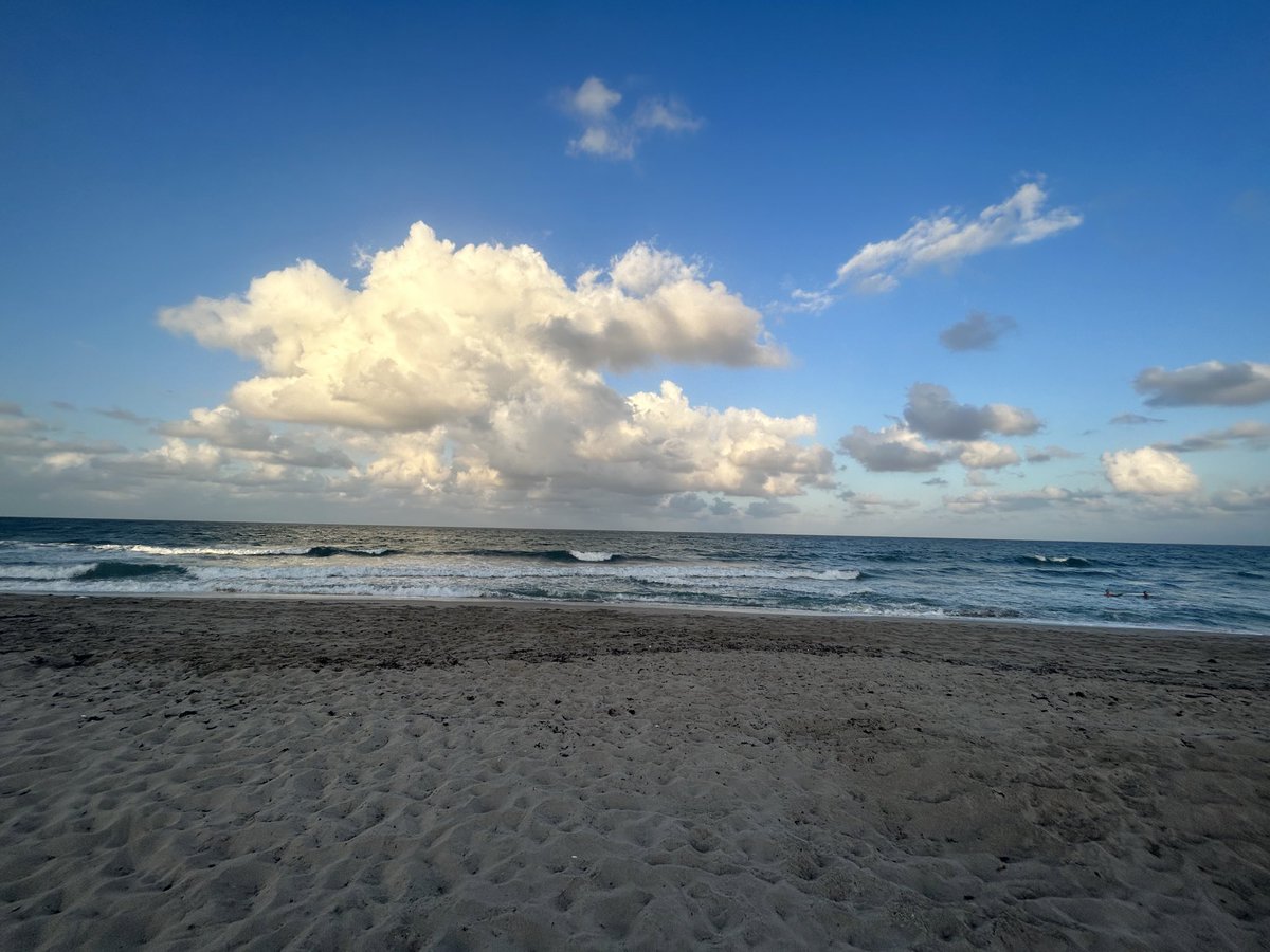 DisciplineBTC 🌎☮️ tweet media