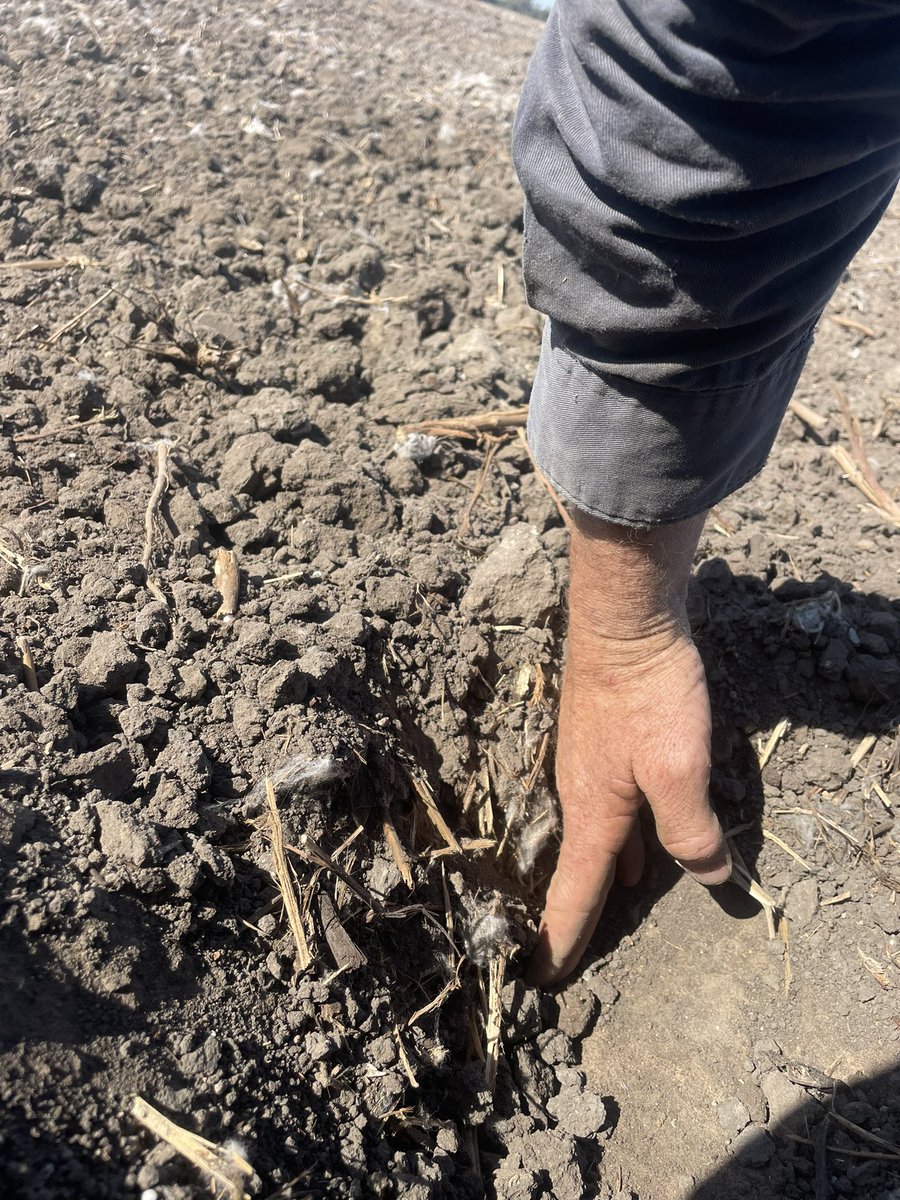 Corey Hart tweet media