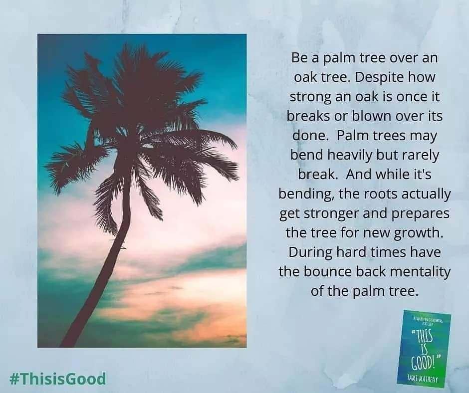 R2LCoaching's tweet image. Be a palm tree. #ThisisGood