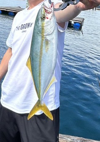 fishing_0401's tweet photo. 和歌山で超久々の釣り🎣
ジグでツバス２、エソ1
オキアミでアイゴ、大カワハギ

やっぱり釣りは楽しい☺️ https://t.co/N1Td5tDLxW