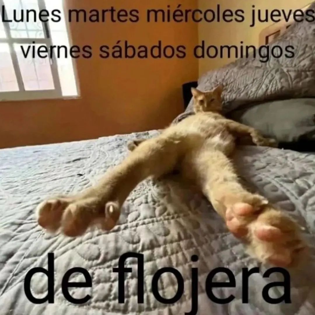 vinoypastillas's tweet photo. mi estilo de vida https://t.co/glu5NXWxAe