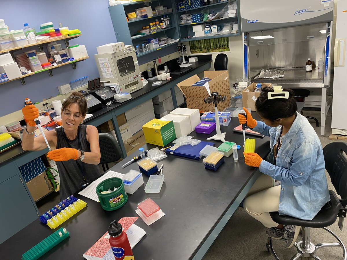 Brooke Bessesen (@brookebiologist) on Twitter photo Pipetting at Pritzker DNA Lab with the lovely <a href="/FandresenaRak/">Fandresena Rakotoarimalala</a>
πΈ: <a href="/diegojsantana/">Diego J. Santana ππ’πΈ π§π·</a> Pipetting at Pritzker DNA Lab with the lovely <a href="/FandresenaRak/">Fandresena Rakotoarimalala</a>
πΈ: <a href="/diegojsantana/">Diego J. Santana ππ’πΈ π§π·</a>
