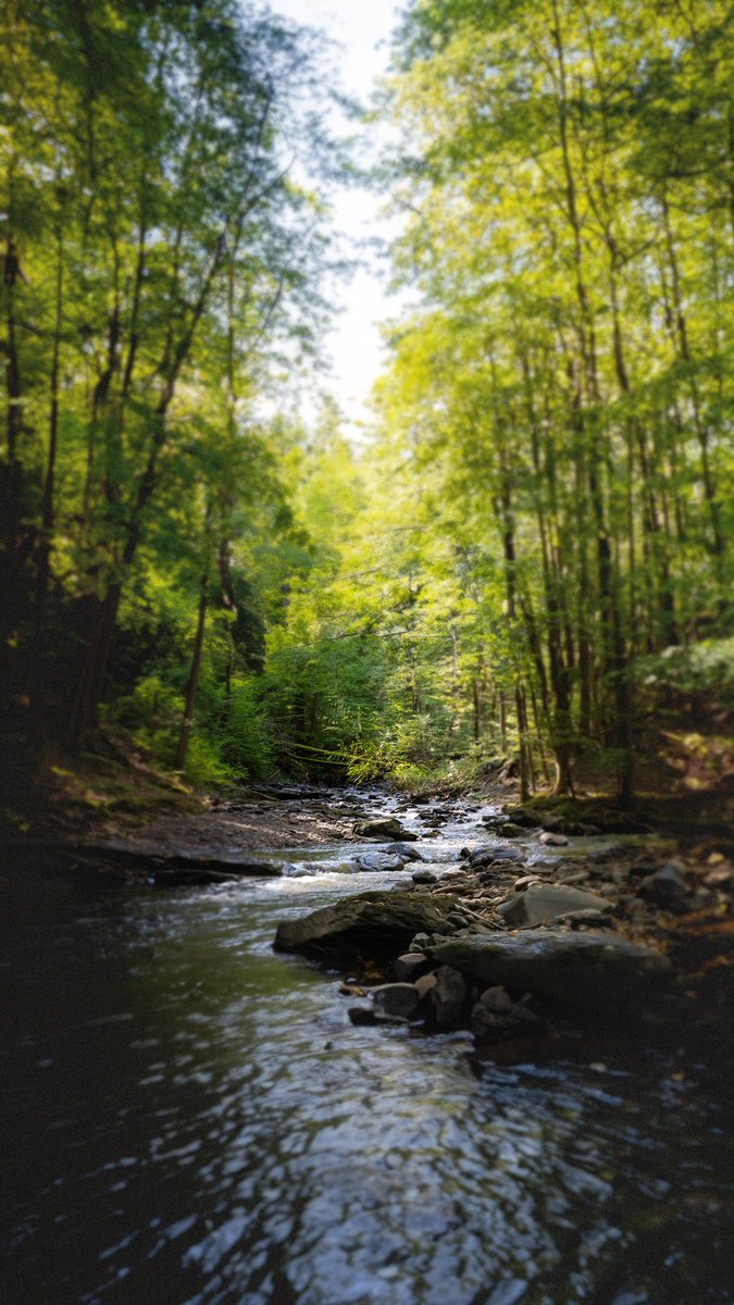 A river's journey, untouched and undisturbed, winding its way through the heart of the wilderness. Nature in its purest form, whispering tales as old as time. Take a moment to listen in.
-
Hope everyone has a good weekend!

Photography by me
#photography #photooftheday