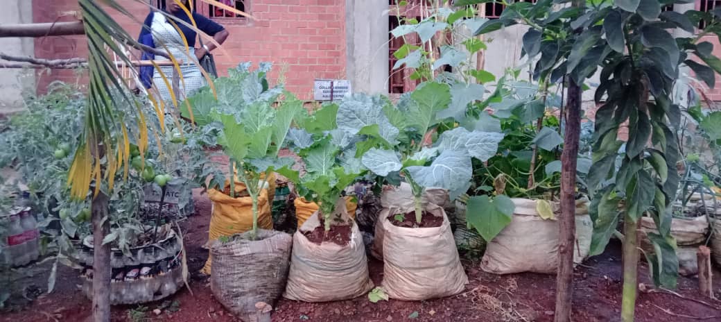 CepcomFor's tweet photo. @CepcomFor  through the operation theme #myevironmentmyidentity, works with communities to save Mother Earth from irresponsible plastic disposal that  result into glaring negative impact to the environment and humanity. https://t.co/5oI7C45kuS