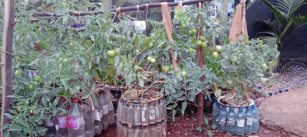 CepcomFor's tweet photo. The Centre progressively innovate several approaches that promote the reduction of littered plastics, the  innovations, promote the reduction of littered plastics, reuse &amp; recycle for improved livelihood https://t.co/ffUZpT3hW4