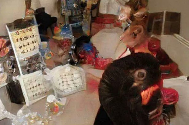 Eva Blakemore tweet media