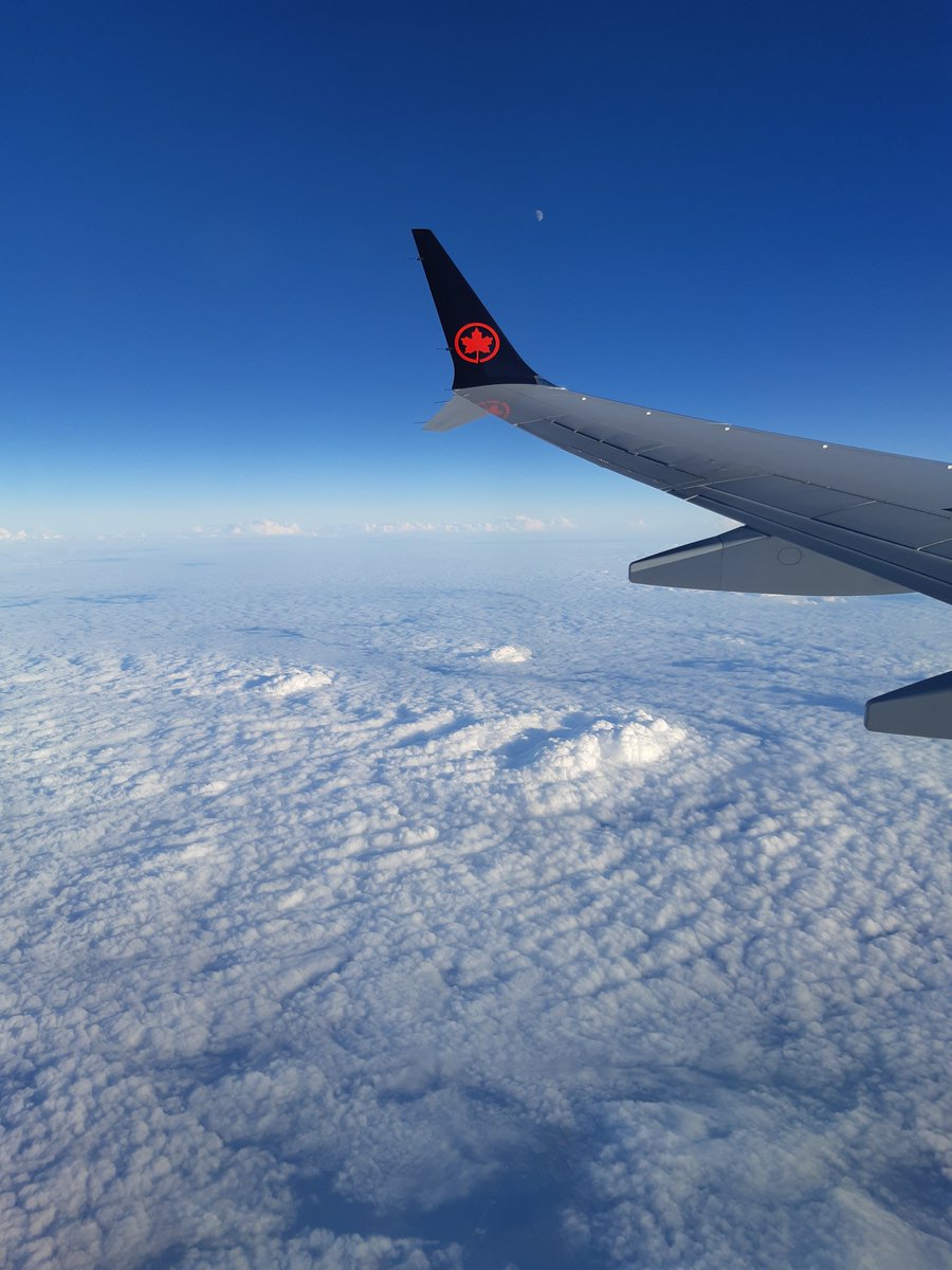 Anyone know how to make that thing turn around !? Lowkey forgot my cheats on my desk.