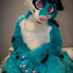 Photo by Acey (@AceyMutt)