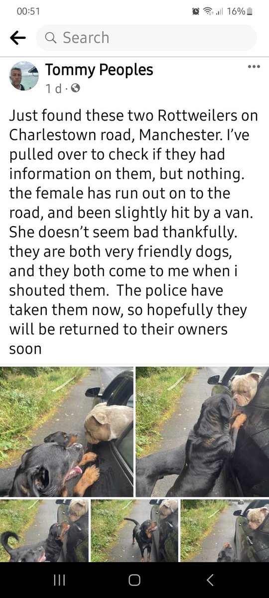 #Manchester
#rottweiler
#lostdogs
#missingdogs