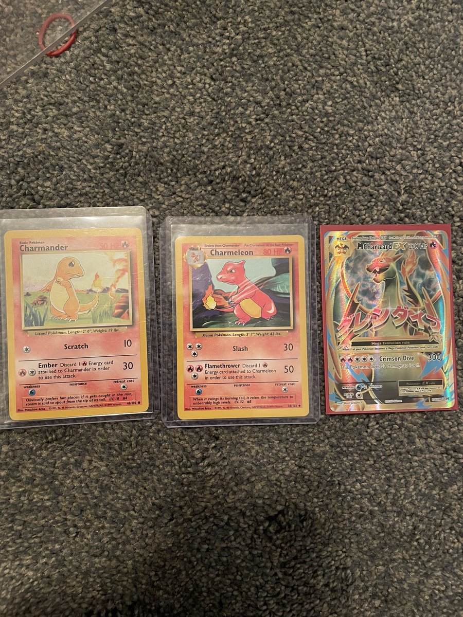 JustinTheriot's tweet photo. Found more zard!!! https://t.co/NS3imgyXwe