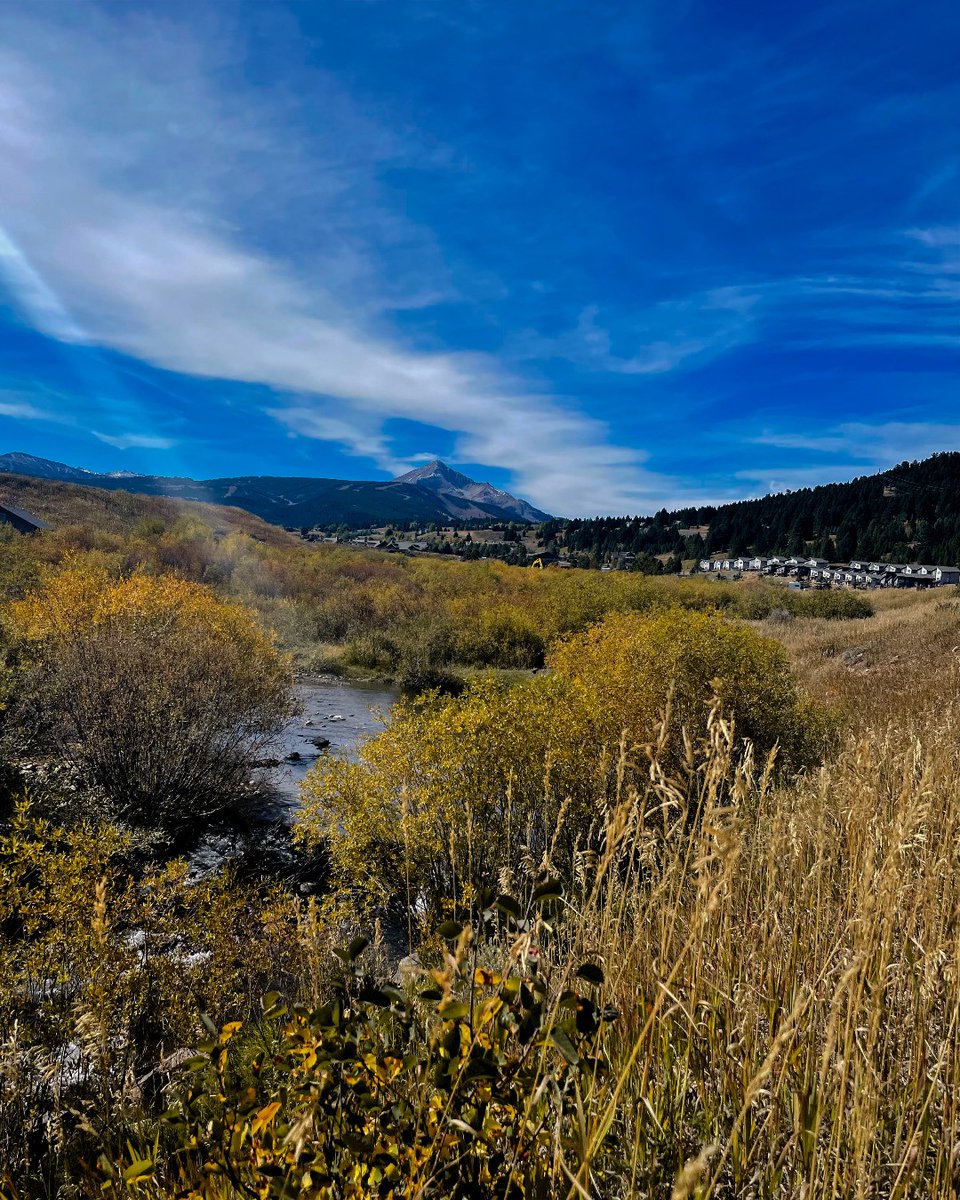Visitbigsky's tweet photo. Cooler weather, a slower pace, and fewer crowds are the perfect ingredients for Fall in Big Sky! 

#visitbigsky #septemberseason #fallinmontana #colorsoffall #bigskymt #visitmt 
📸 @17th.greenlife https://t.co/jgYwEvIoB8