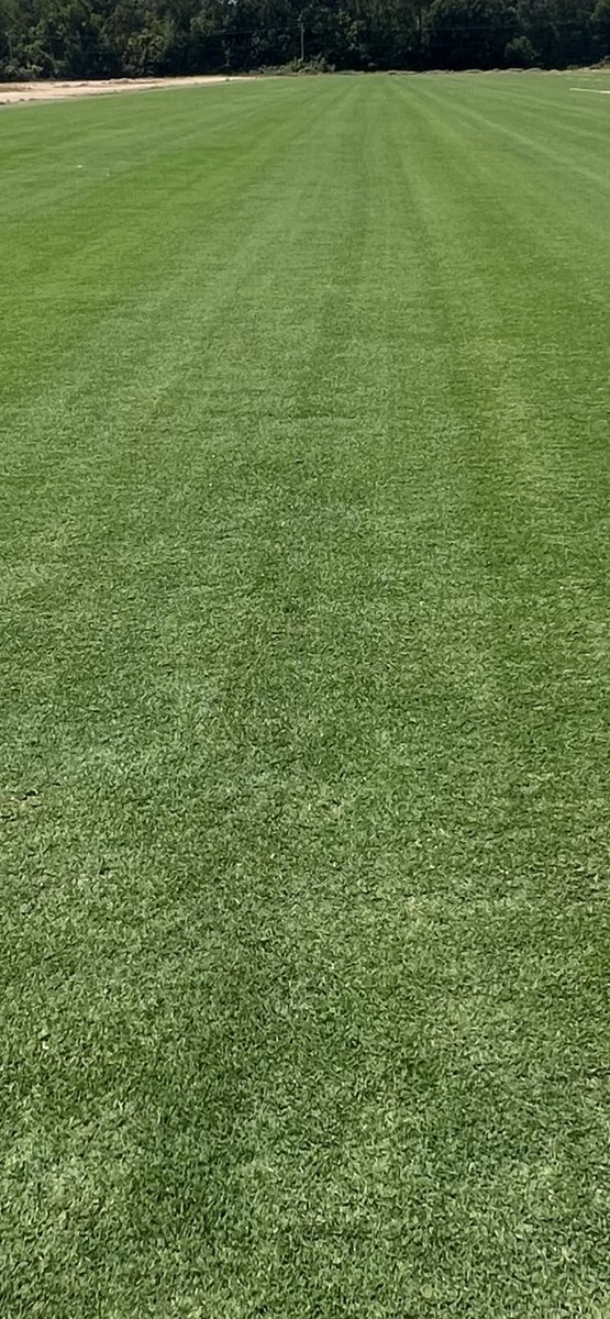 WinsteadMatrix's tweet photo. With excessive heat temperatures all week here @winsteadturf, The Winstead Turf Matrix with @Tahoma31Bermuda has shown its strength and durability! #ReadyToPlayTurf #NaturalGrass #SandBase #GrownOnPlastic #NoFilter https://t.co/75UcD0YvoK