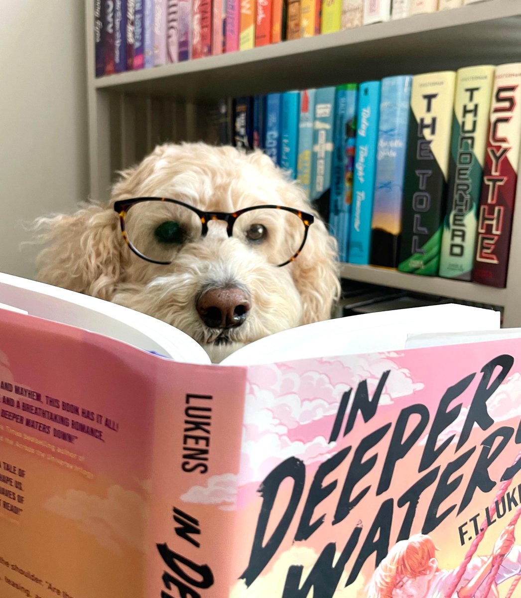 simonteen's tweet photo. It's #NationalDogDay! What are your furry friends reading to celebrate? #ASorceryOfThorns #InDeeperWaters https://t.co/uhyRWOFjHW
