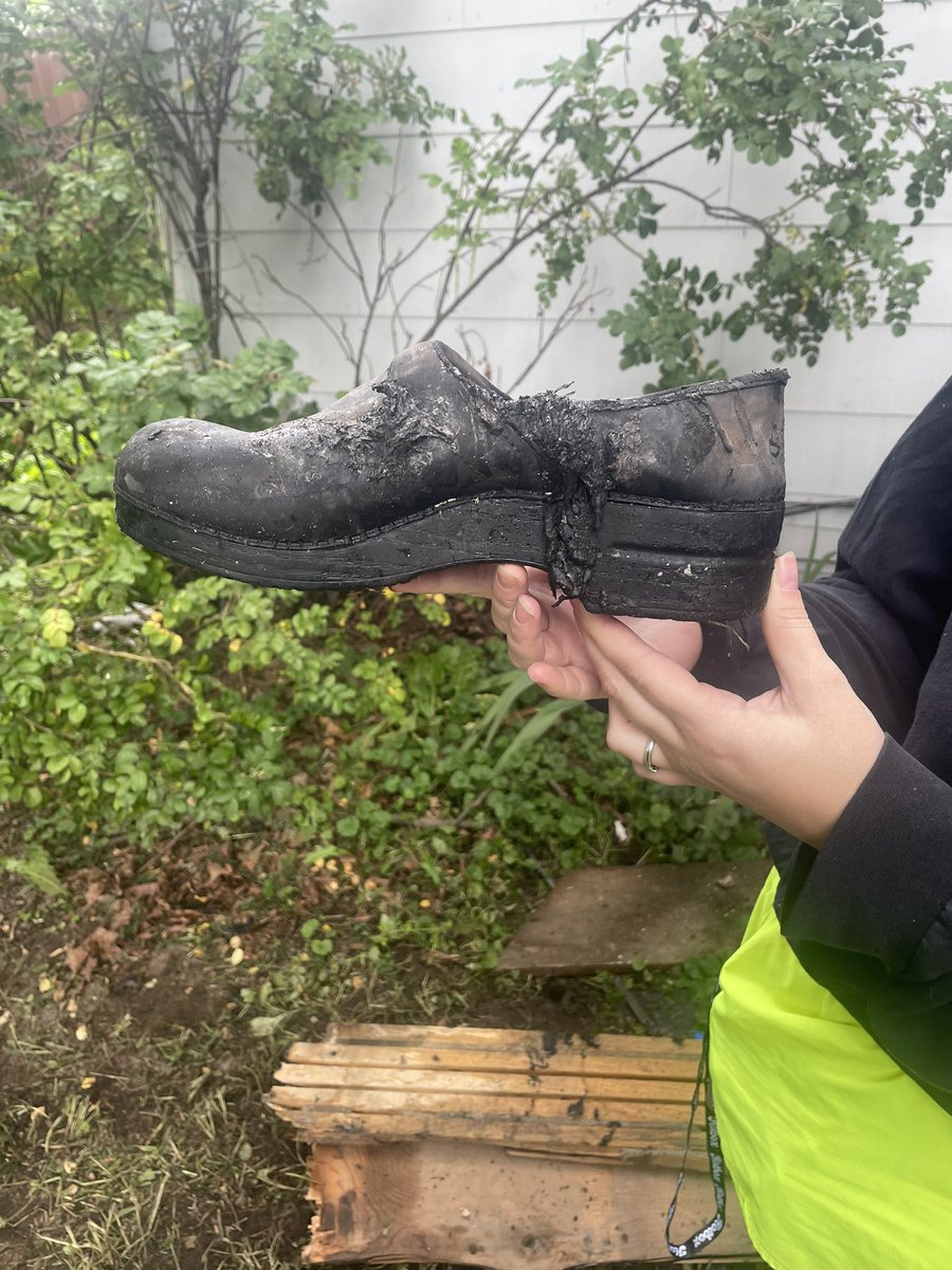 Billy Johnston tweet media