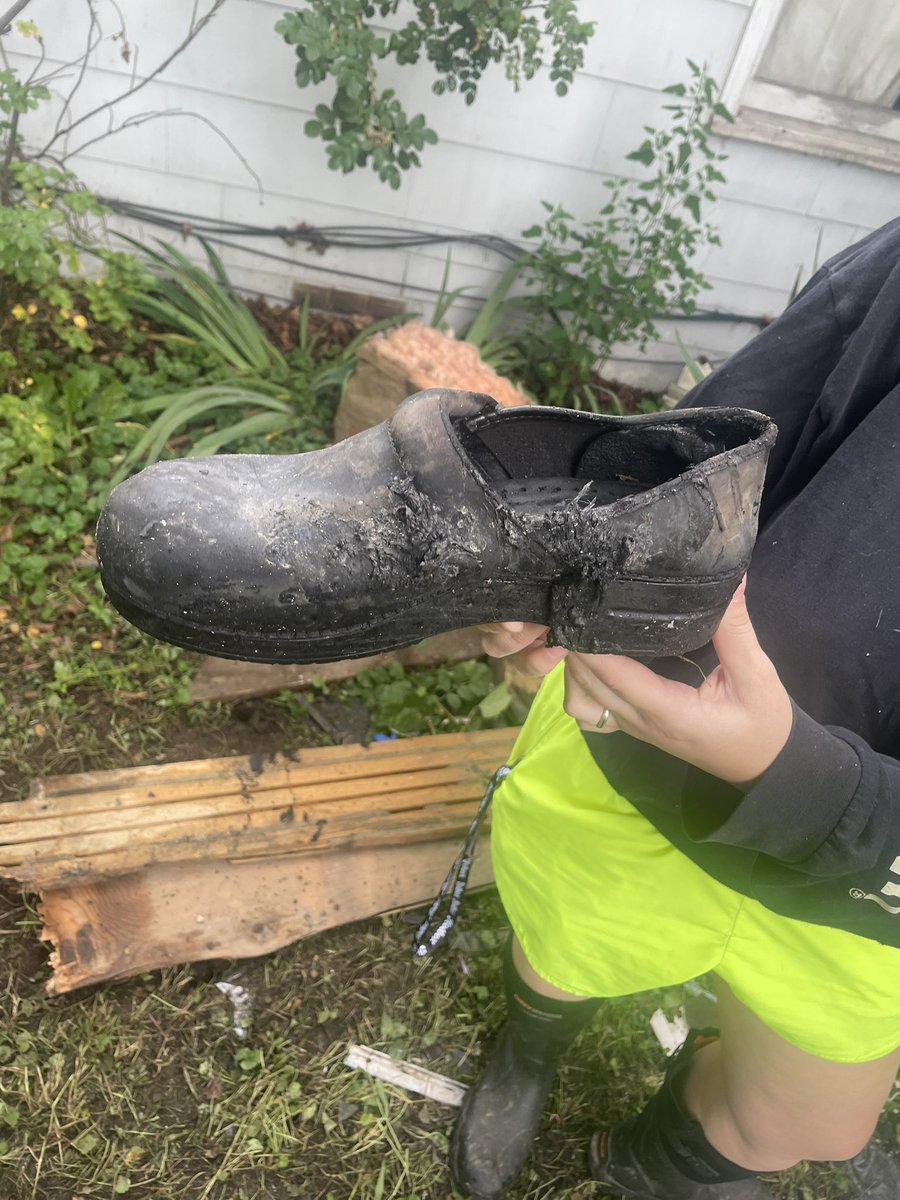 Billy Johnston tweet media