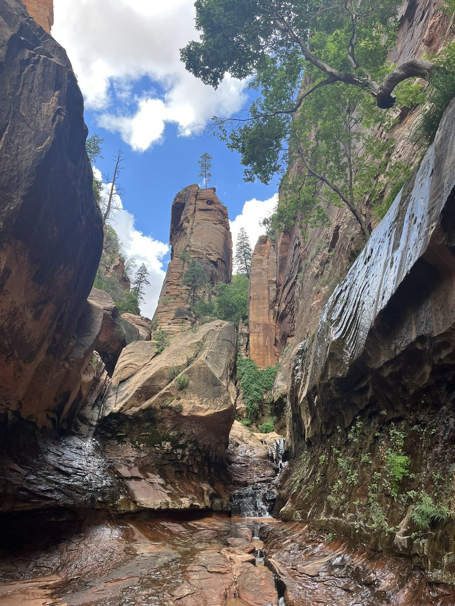 han solo (parody account) tweet media