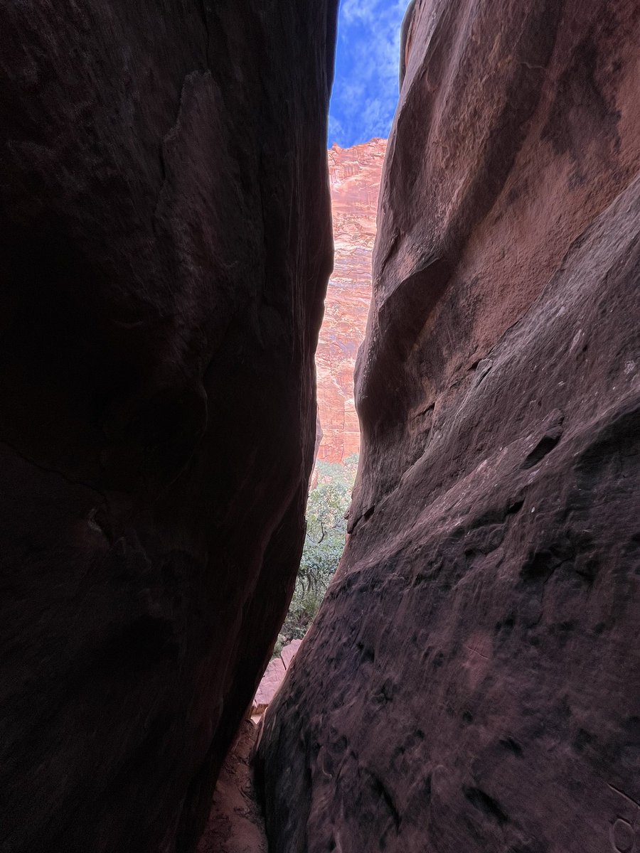 han solo (parody account) tweet media