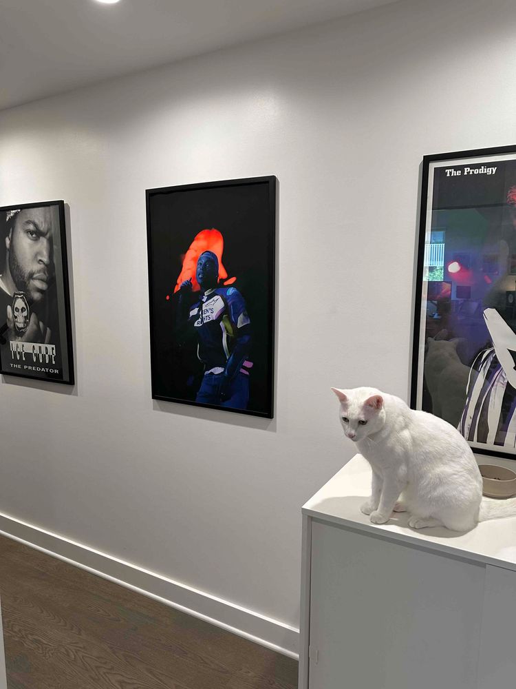 gramsdidit's tweet photo. Looks sexy on the wall 😻 In the home of @studiosupers https://t.co/xpMXOqZMYz