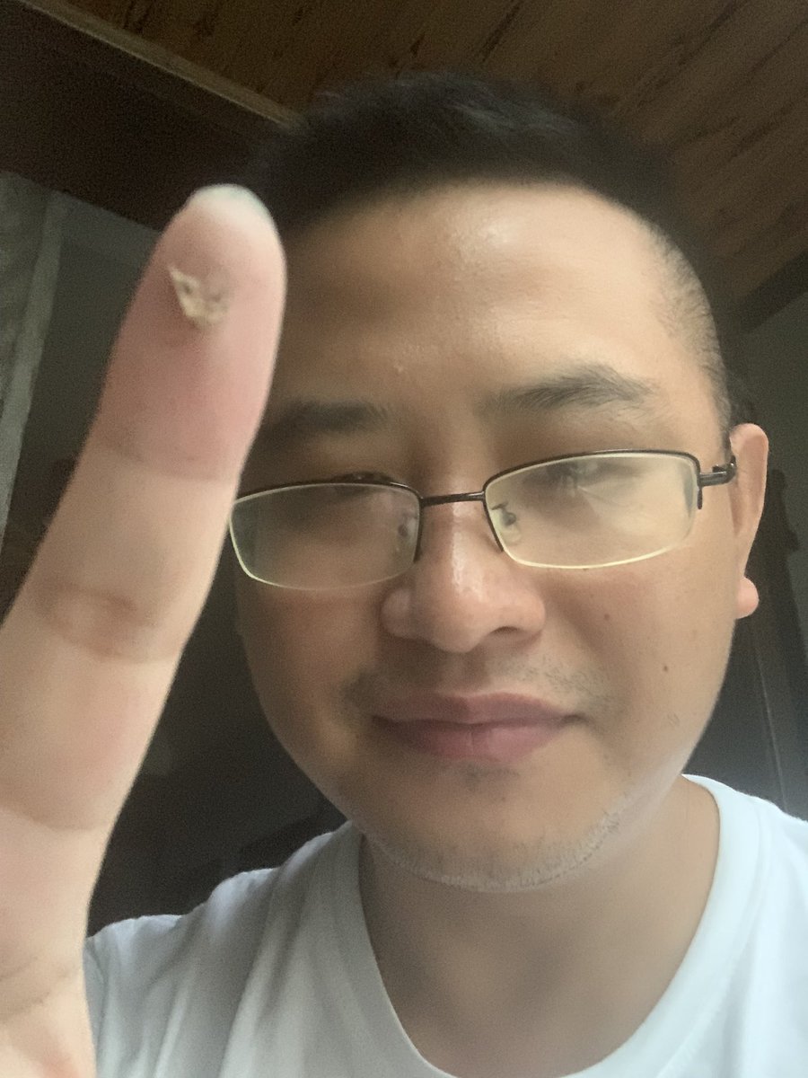 JamesCageWhite's tweet image. I killed a moth . God bless him