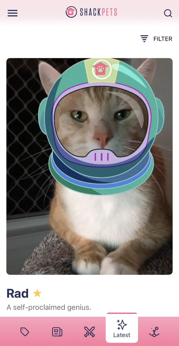 shackpets's tweet photo. Commander Rad confirms the weekend is ready to launch! 😻🚀 #weekendconfirmed https://t.co/nwoPmULpsH