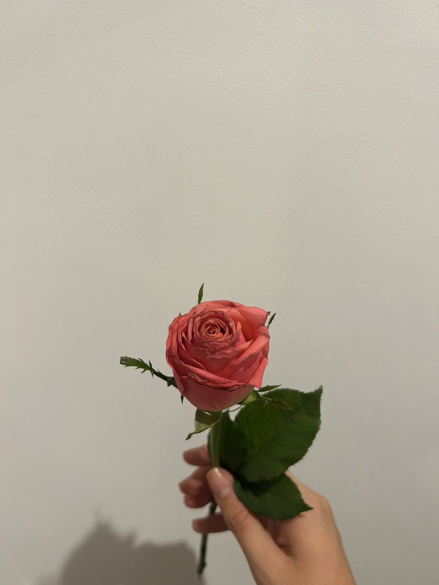 alecm_02's tweet photo. Esto me hizo inexplicablemente feliz 🤧💘 https://t.co/yAcxyANxgp