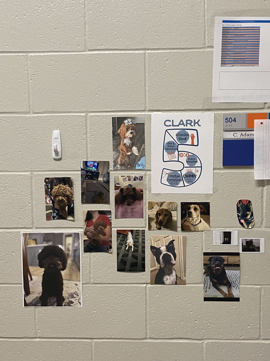 Mrs. Adams’ Math tweet media