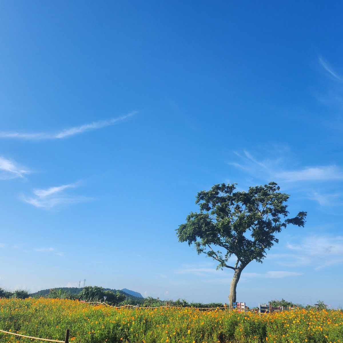 Ebulmandoo's tweet photo. 준아 오늘 날씨 너무 좋다
알감자 오늘도 신나는 하루 보내😘

#SkyForNamjoon https://t.co/Bht3zZtI8r