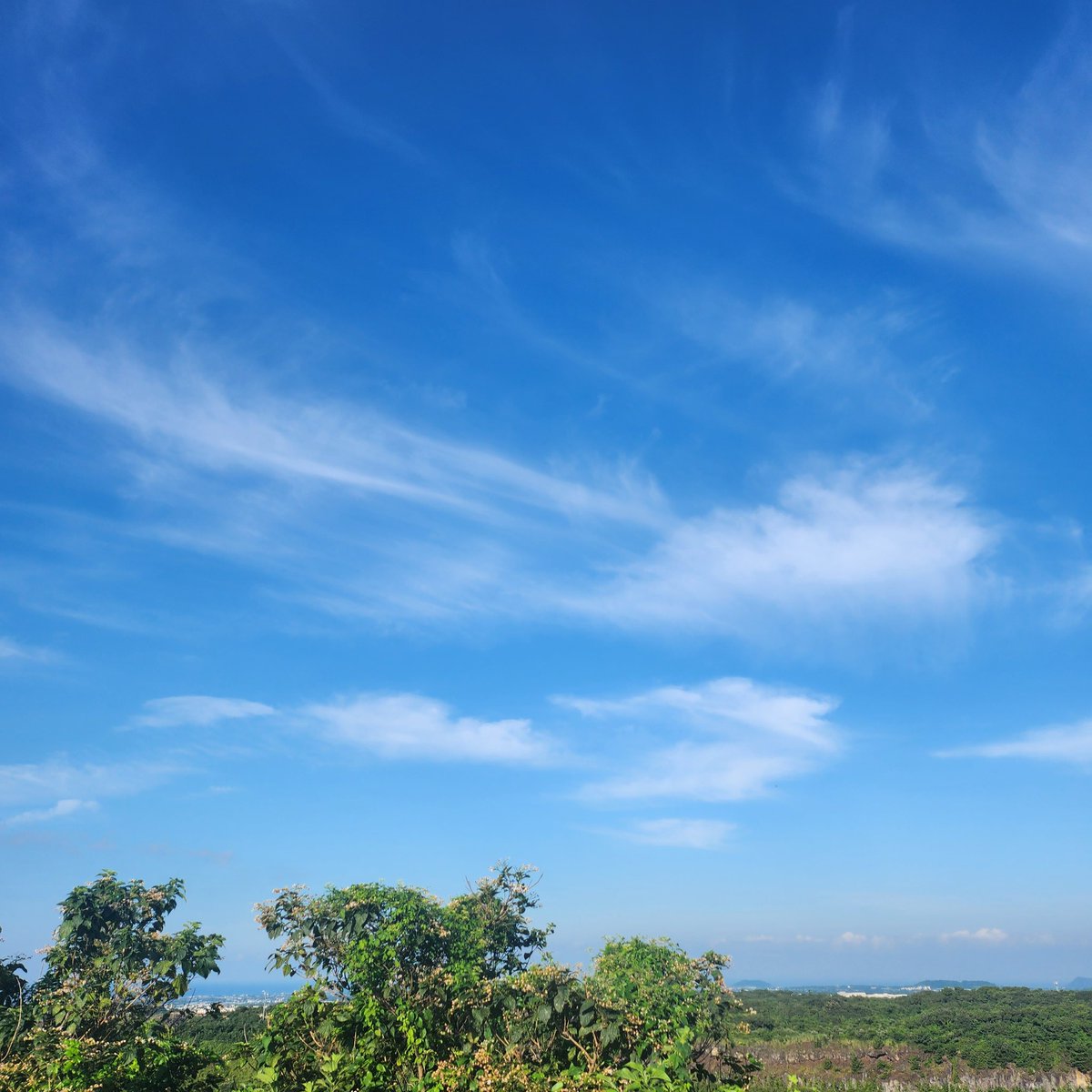 준아 오늘 날씨 너무 좋다
알감자 오늘도 신나는 하루 보내😘

#SkyForNamjoon