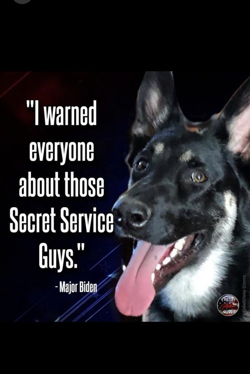 He warned us! #gooddog #majorbiden #SecretService #USSS #Trump4Prison #grifterinchief