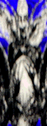 1BitNecro's tweet image. LIVE! @objktcom
1/1
600XTZ
LONG GAME CHAMPION
IMPROPER:\CONTEMPORARY
NECROPIXELISM
We are all round peace's trying to match our edges.
But it pointless, like a sphere. Its us. ⚪️
objkt.com/asset/KT1E5igL…