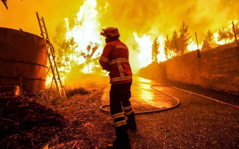 noticierovv's tweet photo. #Internacionales | 21 víctimas mortales por los incendios en Grecia
Amplía información aquí: https://
https://t.co/ygPqJmpoby
#NoticieroVV #25Ag https://t.co/OvSf6Qf8QM