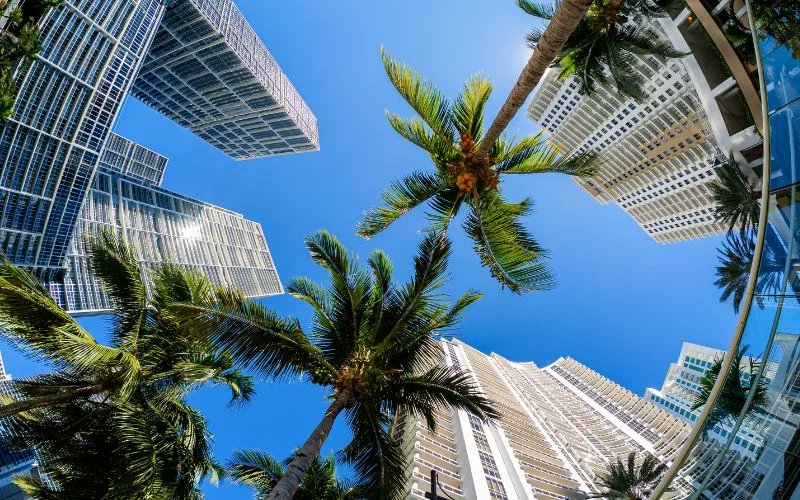 Documentación necesaria para comprar un apartamento en Miami siendo extranjero

negociomiami.com/blog/documenta…

#Miami #RealEstate #BienesRaices #Inmobiliaria #Florida