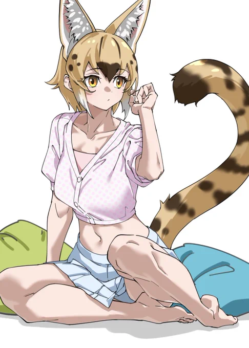 エクストラサーバル