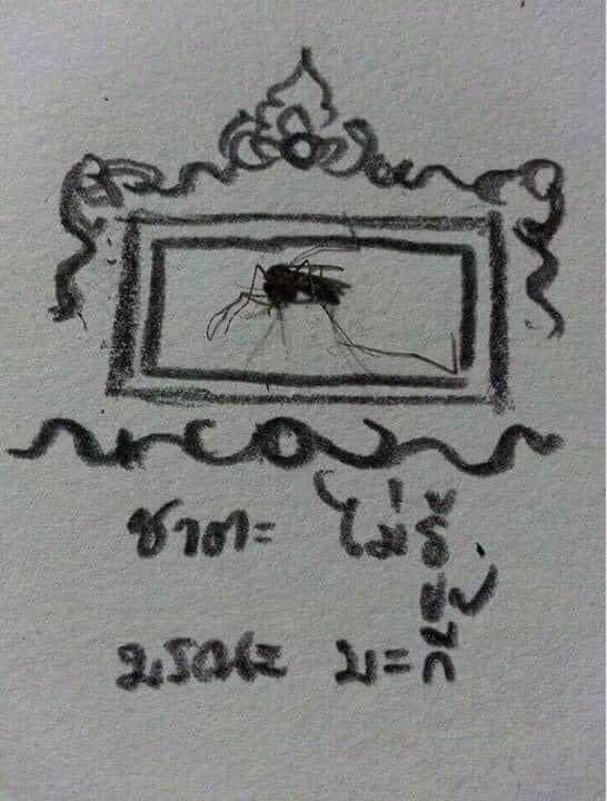 ꔛ 𓈒 ปลอบใจ tweet media
