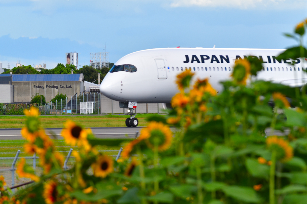 SuwaShu's tweet photo. 久しぶりに大阪国際空港に行ってきた
暑かったけど、飛行機を見ていると、癒やされるし、元気をもらえる(^^) https://t.co/HUBPc4dw33