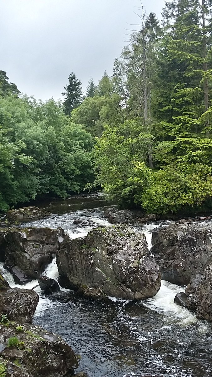 NomadNarrator's tweet image. The rugged terrain of Snowdonia in Wales. 

From the misty peaks to the tranquil lakes, there is something enchanting about the Celtic regions of the UK.

#travel #adventure #Wales #Snowdonia #trekking #hikingadventures #hikinguk