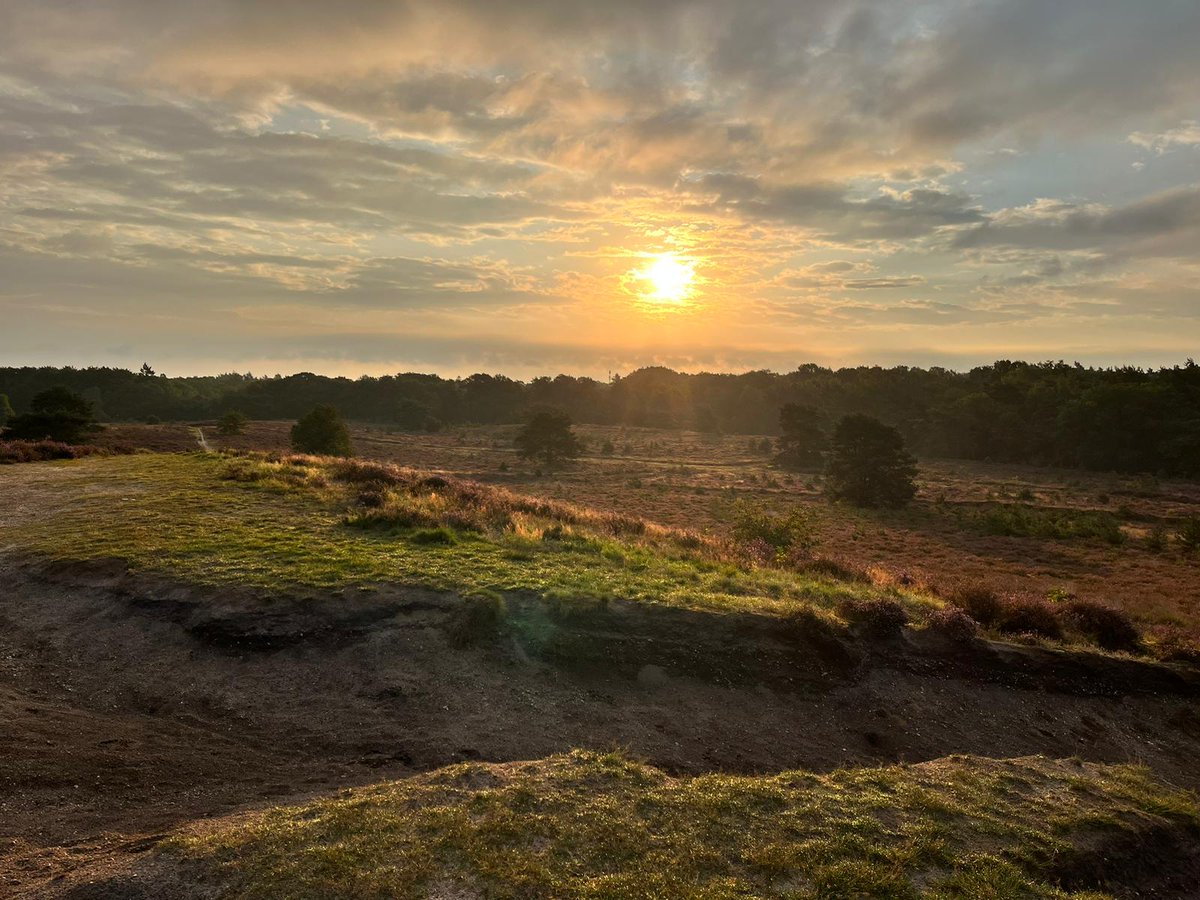GB_Nunspeet's tweet photo. Mooi weer, mooie omgeving, heide mooi in bloei, gratis koffie bij de start als je mee wandelt.
Wat wil je nog meer 😉
#heideloop #nunspeet https://t.co/wFjRHtRISd