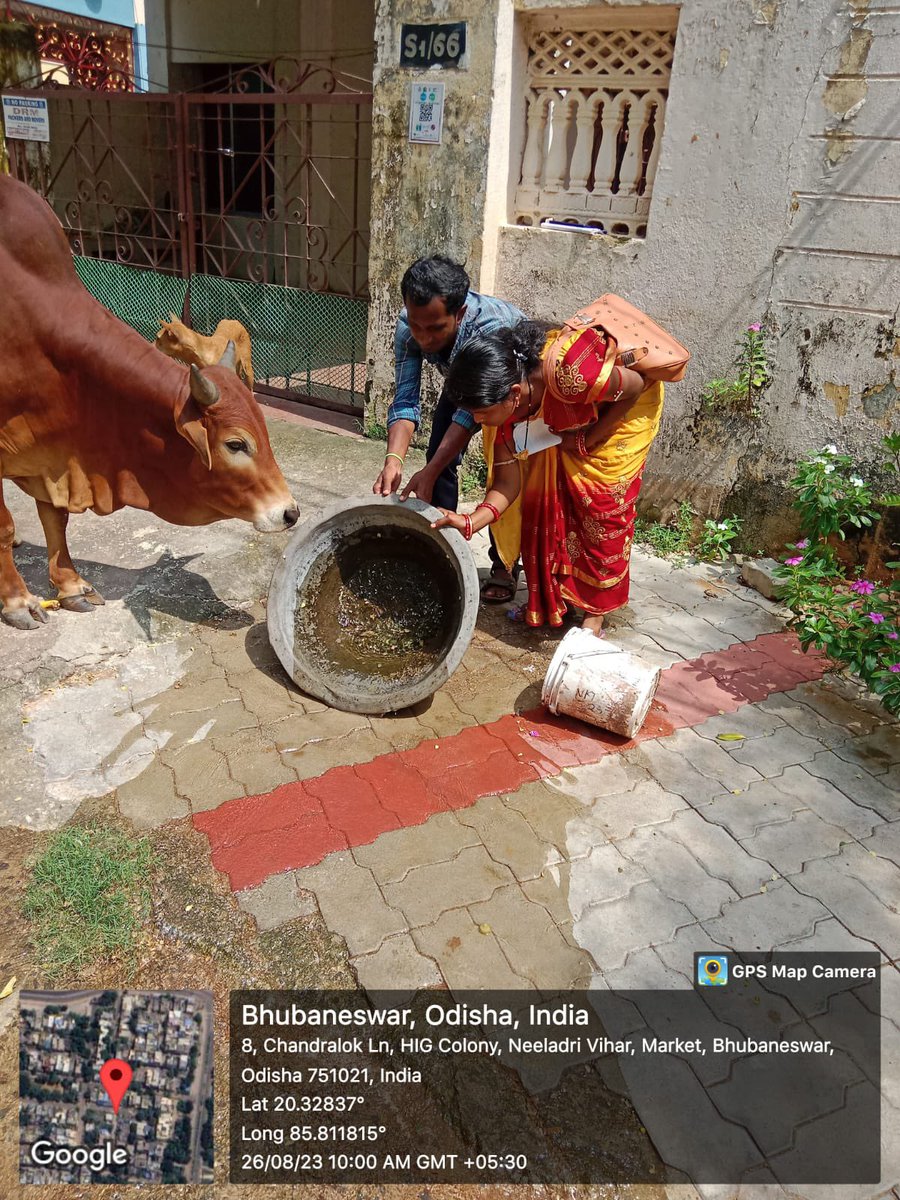 BSCL_BBSR's tweet photo. Dengue awareness drives are ongoing in various parts of the city, with a strong focus on source reduction. Let's unite to eliminate breeding grounds and protect our community from this preventable disease.
#DenguePrevention #SourceReduction #CommunityHealth https://t.co/HdQNgO4ghS