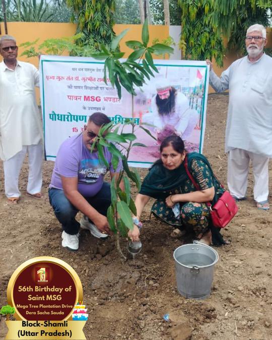 DSSNewsUpdates's tweet image. Dera Sacha Sauda volunteers from Shamli, Uttar Pardesh  celebrated Saint Dr. Gurmeet Ram Rahim Singh Ji Insan's birthday ‘MSGBhandara’ by serving mother earth. 🌳🎉 #56thBirthday #SaintDrMSG #DeraSachaSauda #TreePlantation