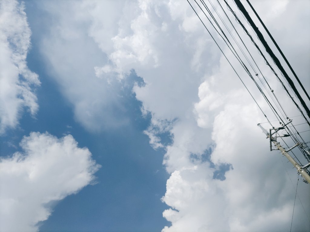 fujimo1126's tweet photo. ☁ https://t.co/N7NNLajxgw