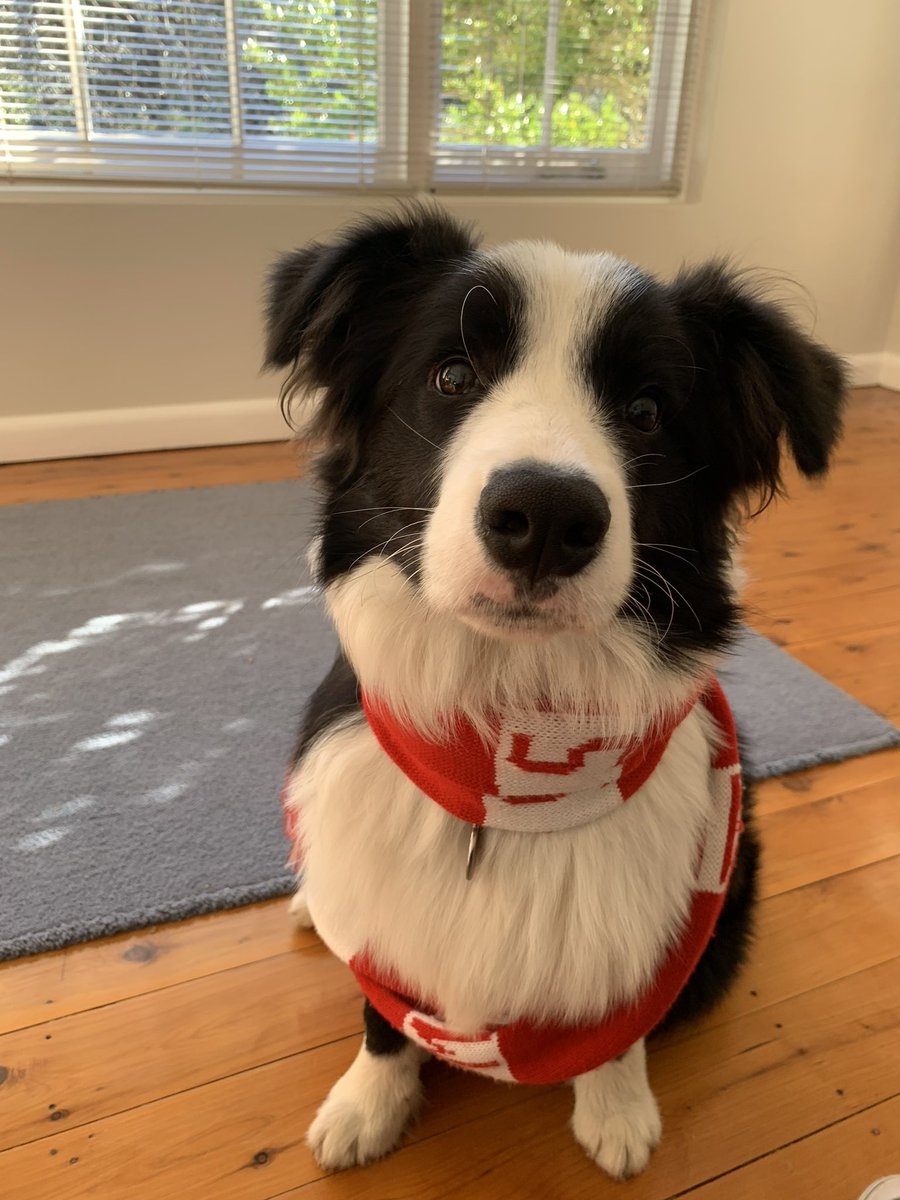 Aussie Nomad tweet media