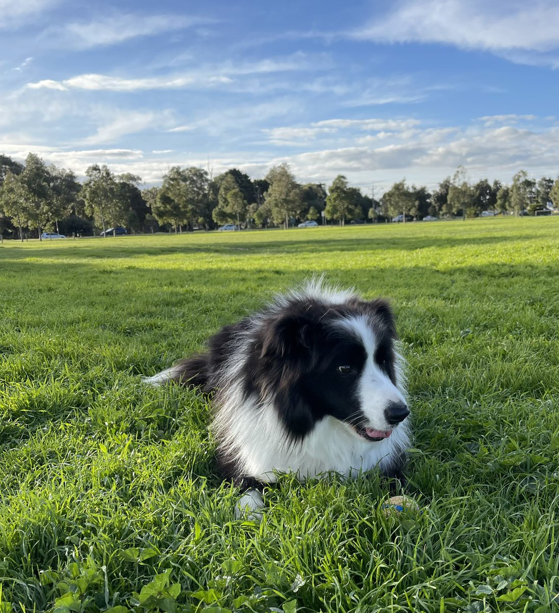 Aussie Nomad tweet media