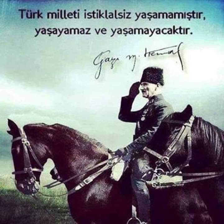 Bilgin Cücü tweet media