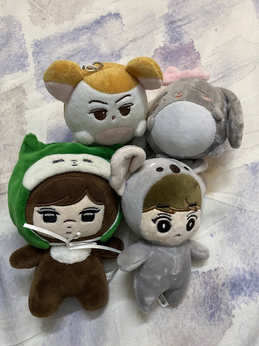 maymydear_'s tweet photo. EXO Dolls
RM50.00 https://t.co/AlrQfZOkX2