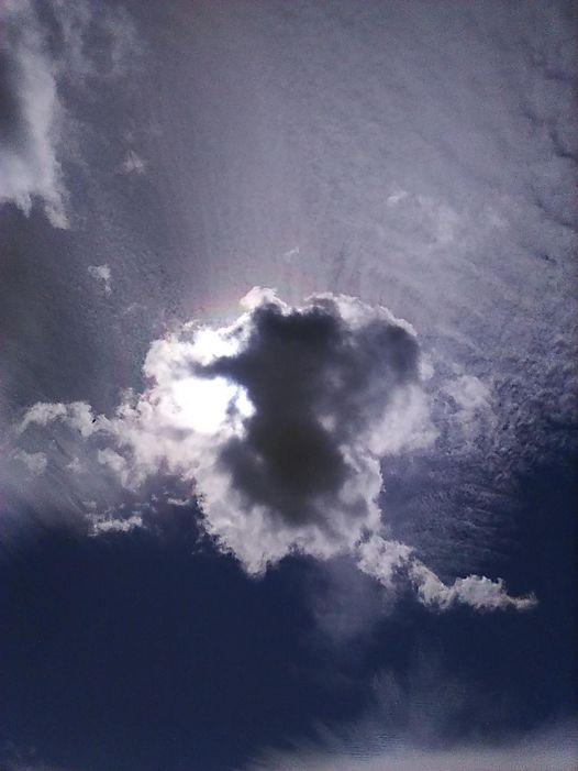 LabrynthKnight's tweet image. #clouds #sky #cloudshapes
Elephant Mouse Cloud.
Back yard sky, April, 2023.